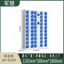 军慧 铁皮柜 JH-0209 蓝灰色