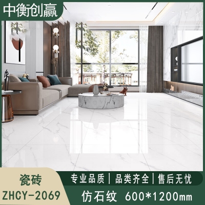 瓷砖 中衡创赢ZHCY-2069